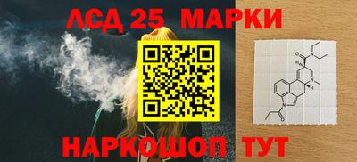 молекула духа Новозыбков