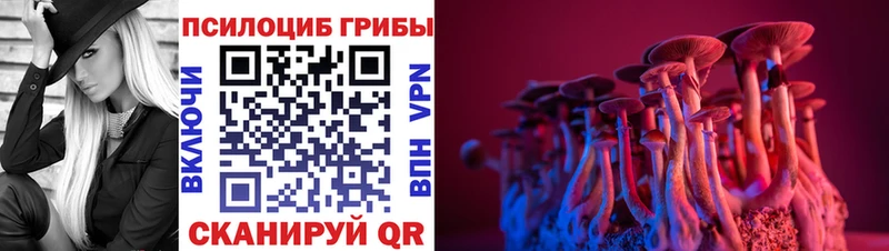 Галлюциногенные грибы мухоморы  Липецк 