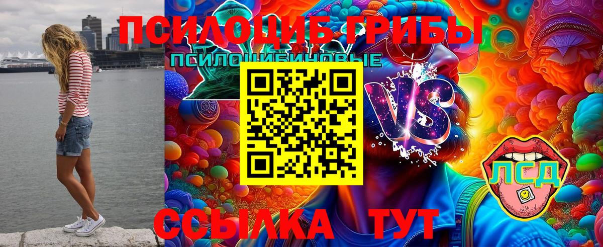 Липецк  Галлюциногенные грибы мицелий  что такое   Вход с VPN 